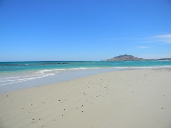 Cabo Pulmo (5).JPG