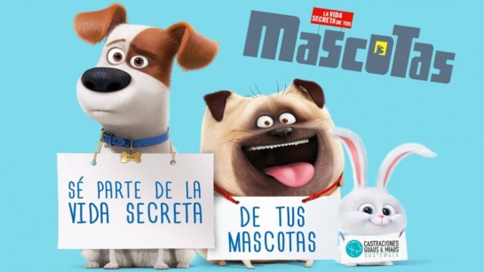 vida-secretas-de-las-mascotas-885x500