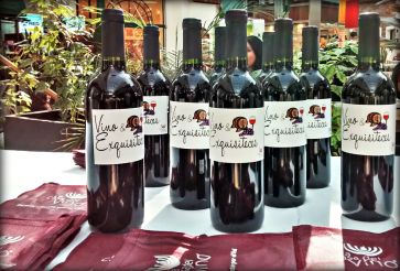 VINO- VINO Y EXQUISITECES.jpg