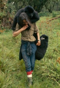 Dian Fossey muerte en la niebla - National Geographic (2).jpg