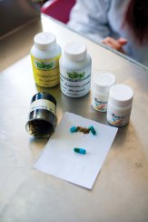 COMPRUEBAN EN EL IPN POTENCIAL DE LA BELLADONA CONTRA EL CÁNCER DE PRÓSTATA (5).jpg