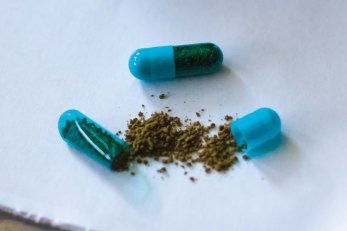 COMPRUEBAN EN EL IPN POTENCIAL DE LA BELLADONA CONTRA EL CÁNCER DE PRÓSTATA (6).jpg