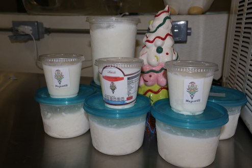 HELADO CON AGUAMIEL DEL IPN PREVIENE AFECCIONES GASTROINTESTINALES  (1).JPG