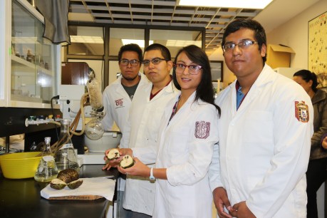 PROPONE IPN USO DE GUANÁBANA PARA COMBATIR CÁNCER (4).JPG