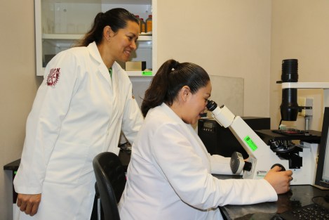 PROPONE IPN USO DE GUANÁBANA PARA COMBATIR CÁNCER (5).JPG