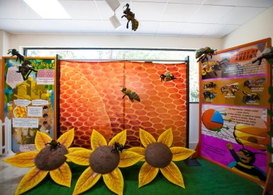 APRENDE SOBRE LAS ABEJAS EN EL MUSEO TEZOZÓMOC DEL IPN.jpg