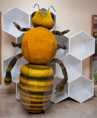 APRENDE SOBRE LAS ABEJAS EN  EL MUSEO TEZOZÓMOC DEL IPN.jpg