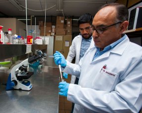 INVESTIGA IPN ORIGEN DE LA PREECLAMPSIA (1).jpg