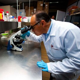 INVESTIGA IPN ORIGEN DE LA PREECLAMPSIA (2).jpg