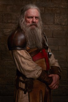 Knightfall 17398 (2).jpg