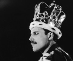 freddie_800x669.jpg