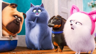 PETSDOS.jpg