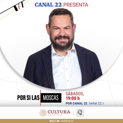 POR SI LAS MOSCAS.jpg